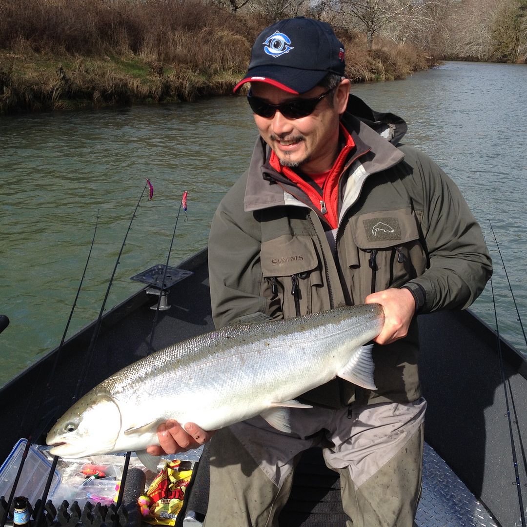 Steelhead caviar… start to finish. | Northwest Fishing Board 